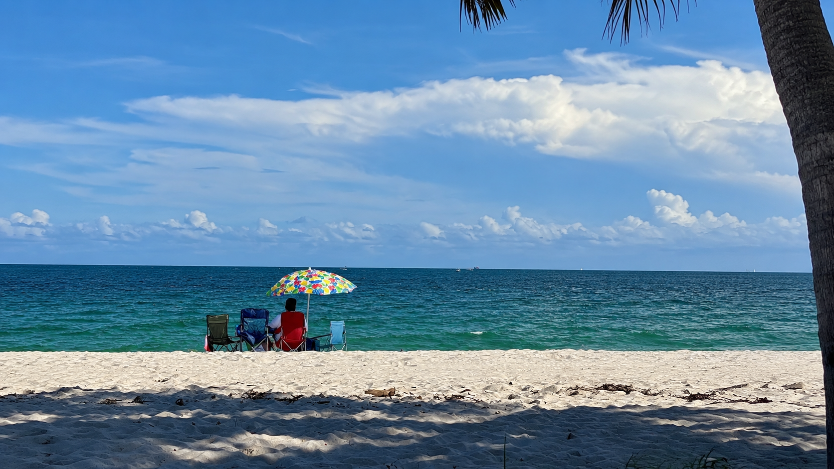 Strand im Dr. Von D. Mizell-Eula Johnson State Park bei Fort Lauderdale