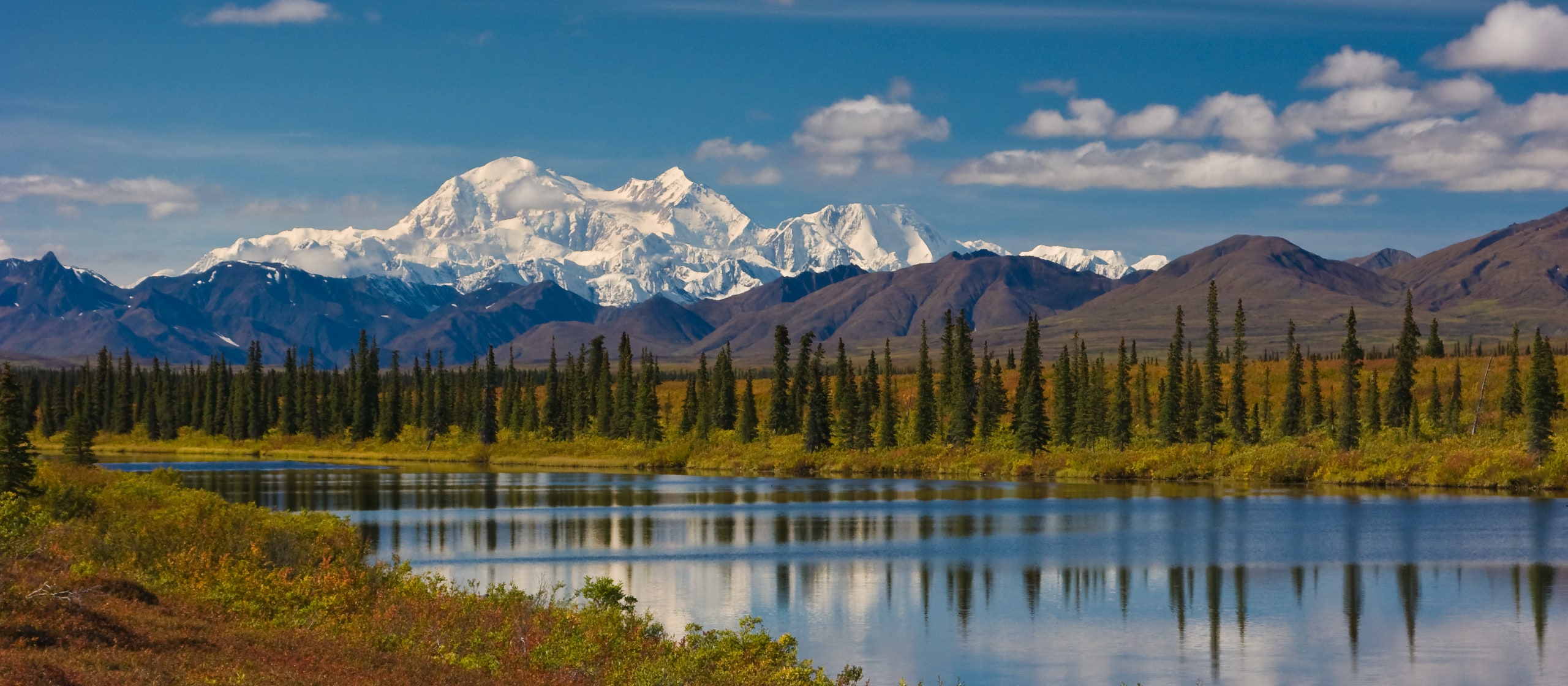 Ansicht Mount Denali, Alaska, im Vordergrund Bäume und ein See.